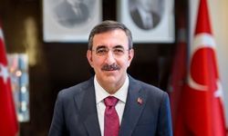 Cumhurbaşkanı Yardımcısı Yılmaz’dan Barış Deklarasyonuna Destek