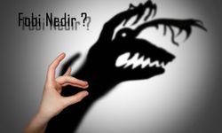 Korkunun Derin Kökleri: Fobiler Nasıl Oluşur?