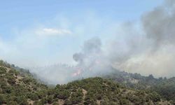 Erbaa ilçesinde çıkan orman yangınına müdahale ediliyor