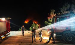 İtfaiye ekipleri Denizli'de mücadele ediyor