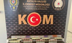 712 bin 440 adet makaron ele geçirdi