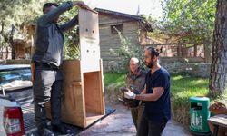 Büyükşehir Doğal Yaşam Parkı’nın tedavi edilen Yılan Kartalı doğaya geri döndü