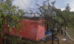 Bağ evi olarak kullanılan baraka alevlere teslim oldu