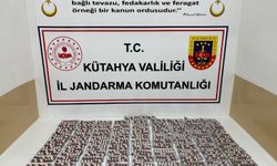 Uyuşturucu operasyonunda 2 tutuklama