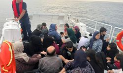 46'sı çocuk 81 düzensiz göçmen yakalandı