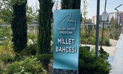 Başkan Albayrak'tan Millet Bahçesi açıklaması