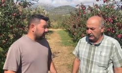 Bir gecede 4 bin 200 ton elma doluya teslim oldu