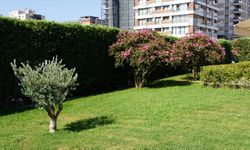 İçerisi şifa, dışarısı botanik bahçesi