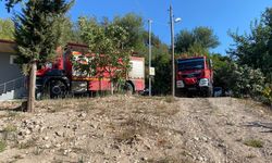 Zeytinlik yangını korkuttu