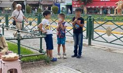Küçük çocuk kuşlara zarar veren çocuğu polise ihbar etti
