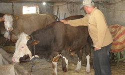 Emekli mühendis huzuru köyde buldu
