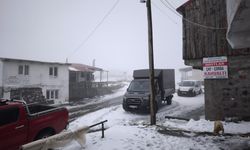 Artvin'in vadilerini sel, yaylalarını kar vurdu