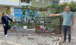 Çiçeklere çamaşır suyu döktüğü için kavga ettiler