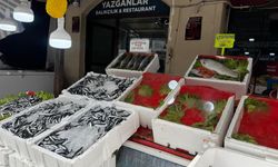 Balık tezgahları boş kaldı, vatandaş umduğunu bulamadı
