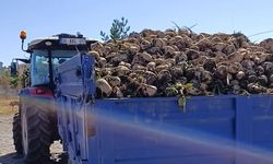 Binlerce pancar şeker fabrikasında işlenecek