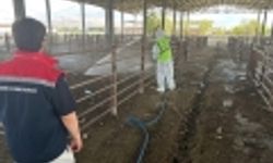 Açılan hayvan pazarı  tekrar kapatıldı