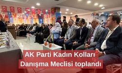 AK Parti Kadın Kolları Danışma Meclisi toplandı