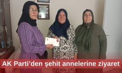 AK Parti’den şehit annelerine ziyaret