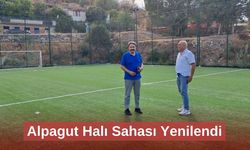 Alpagut Halı Sahası Yenilendi