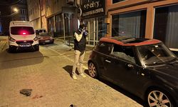 5. Kattan Otomobilin Üzerine Düştü