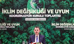 “İklim Kanunuyla Yepyeni Bir Sayfa Açtık”