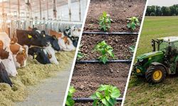 Çiftçilere destekleme ödemeleri bugün yapılacak