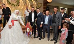 Düğünde gelin ve damada ilginç takı