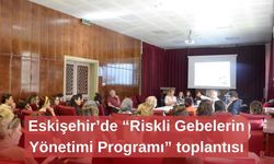 Eskişehir’de “Riskli Gebelerin Yönetimi Programı” toplantısı