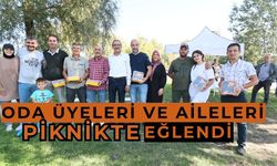 Eskişehir Elektrikçiler Odası'ndan yıl sonu pikniği