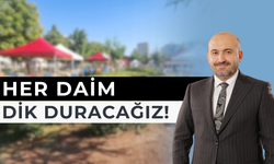 Alçak Saldırı