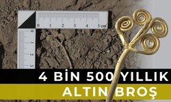 Son 100 Yılın En Önemli Keşfi