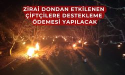 Zirai dondan etkilenen çiftçilere destek geliyor