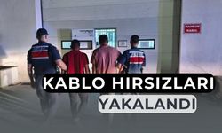 Tarım arazisinden 600 bin TL değerinde kablo çaldılar