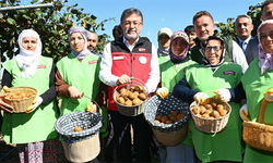 Bakan Yumaklı kivi hasadına katıldı