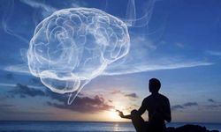 Meditasyon Beyni Gerçekten Değiştirir mi?