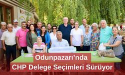 Odunpazarı’nda CHP Delege Seçimleri Sürüyor