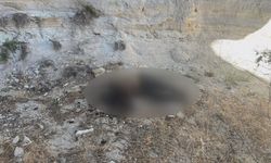 Peribacalarında ölü olarak bulundu: 1 gözaltı