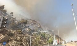 Söke'de makilik alan yangını, söndürme çalışmaları sürüyor