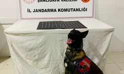 Uyuşturucu operasyonunda 42 gözaltı