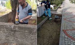 Mezarlıklar, Büyükşehir’le pırıl pırıl
