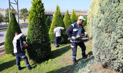 Büyükşehir, daha yeşil Kocaeli için sahada