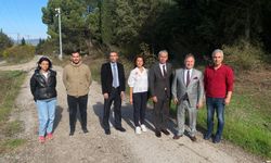 Tarımda akademik bakış