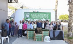 Büyükşehir’den Aydıncık’ta Üreticiye Fide ve Güneş Paneli Desteği