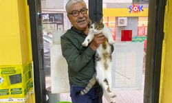 Terk edilen kediyi işletmeci sahiplendi