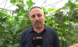 İlçedeki sera eksikliğini fark etti 10 bin metrekarelik sera kurdu
