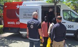 Düzensiz göç çalışmaları sürüyor