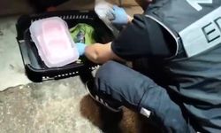 Kedi taşıma çantasında 2 kilo yasaklı madde bulundu