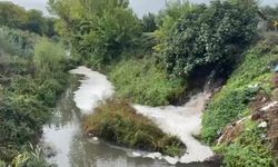 Karsak Deresi’ndeki kirlilik Gemlik Körfezi’ne ulaştı