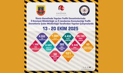 Eskişehir'de 382 Araç Trafikten Men Edildi