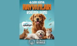 Başkan Büyükkılıç’tan “Dünya Hayvanları Koruma Günü” Mesajı